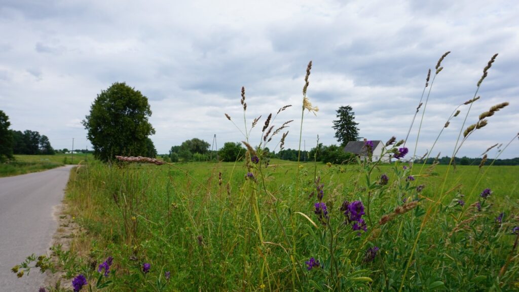 Czy mogę prowadzić działalność nierejestrowaną jeśli jestem ubezpieczona w KRUS 